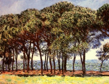 Kiefer Cap d Antibes Claude Monet Ölgemälde